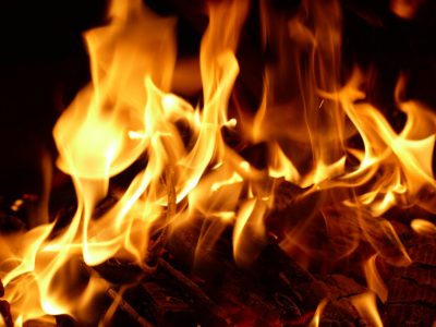 Waarom steeds meer mensen kiezen voor brandhout en houtbriketten